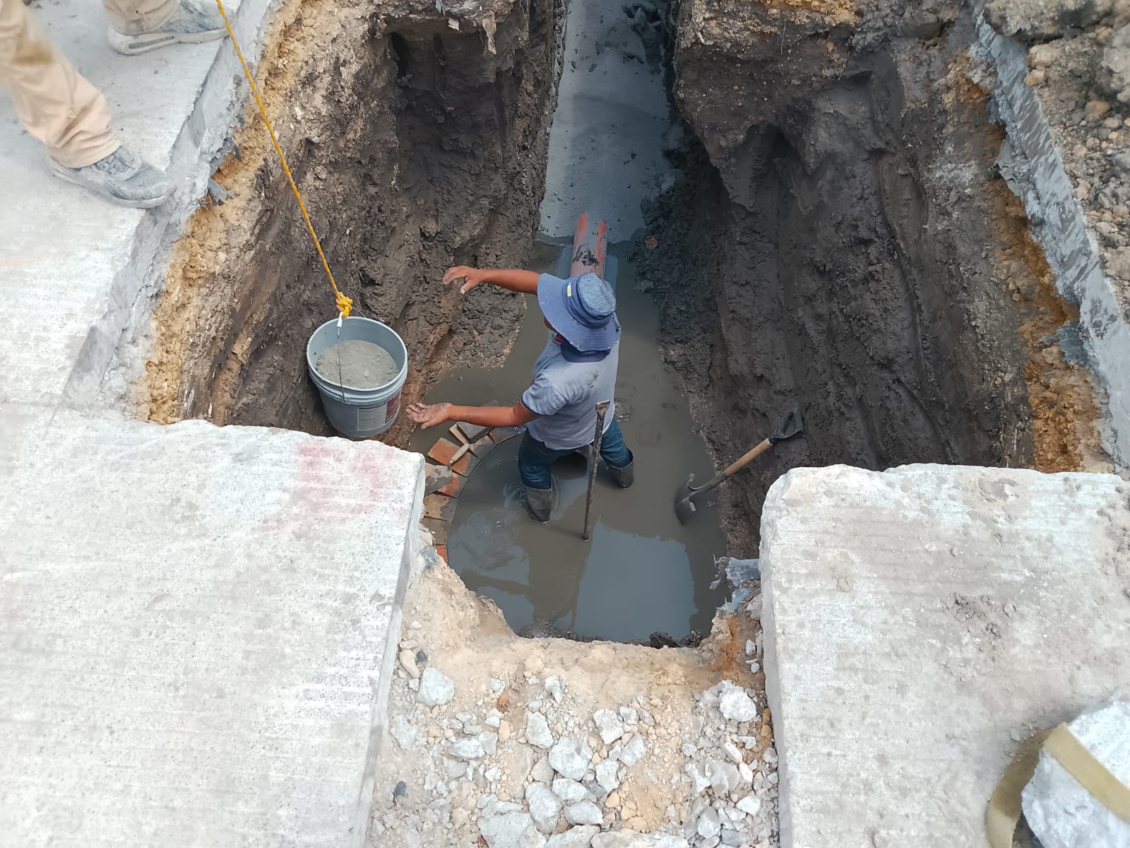 Imagen de la obra